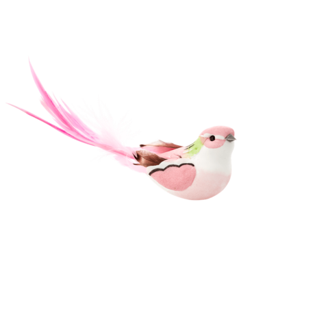 Artificial Birds