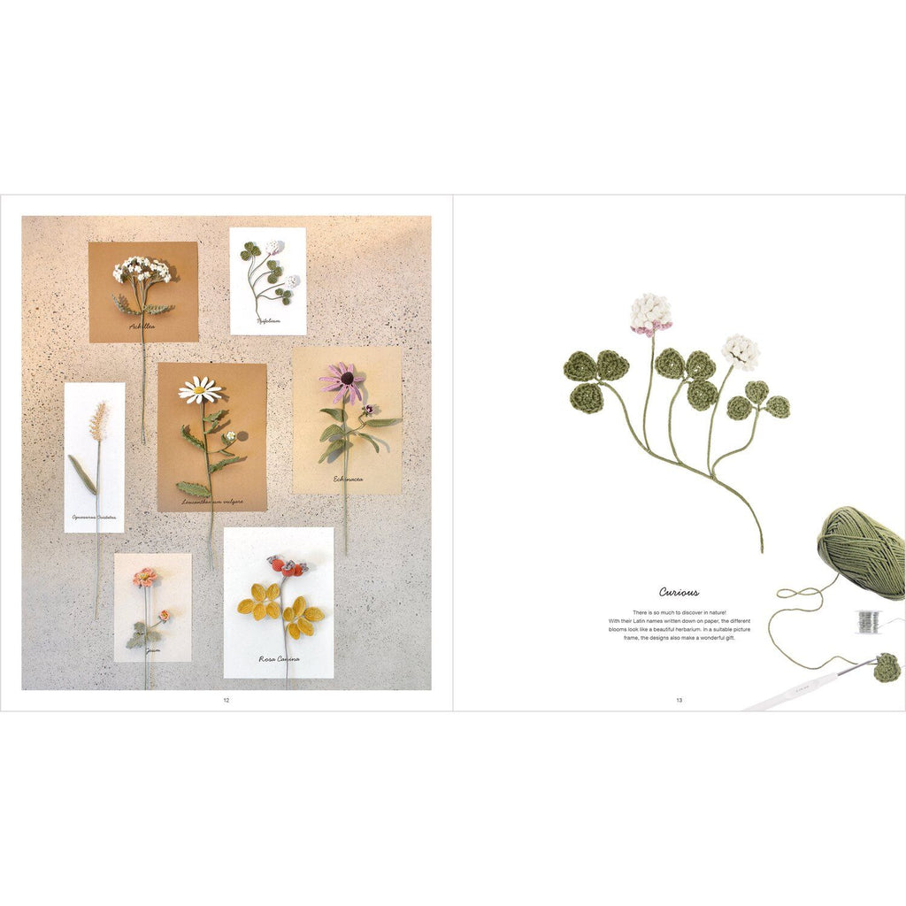 Ricorumi In The Meadow Book