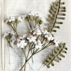 Ricorumi In The Meadow Book