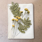Ricorumi In The Meadow Book