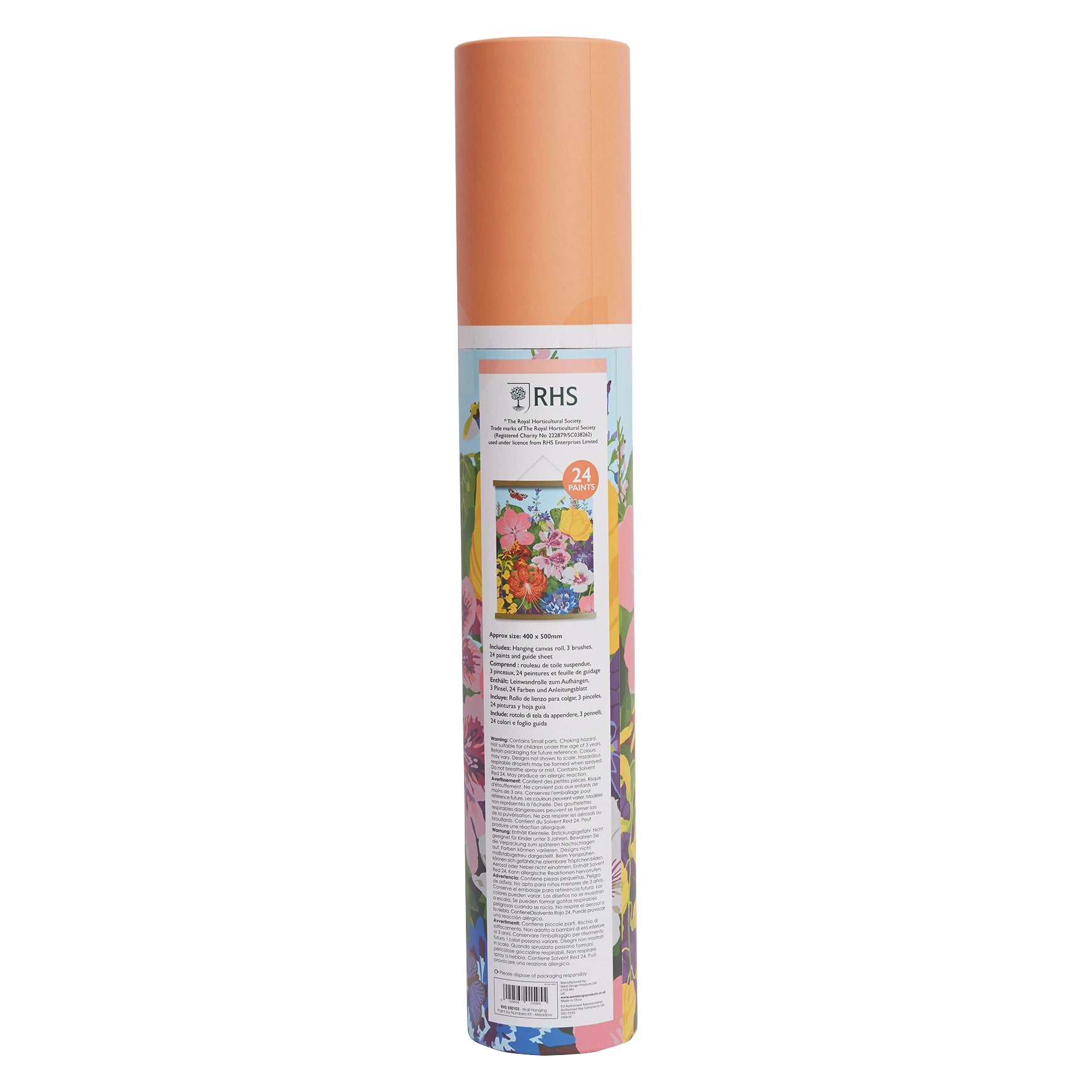 RHS Paint By Numbers Kit : Meadow
