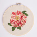 RHS Embroidery Kit : Plant Study