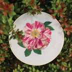 RHS Embroidery Kit : Plant Study