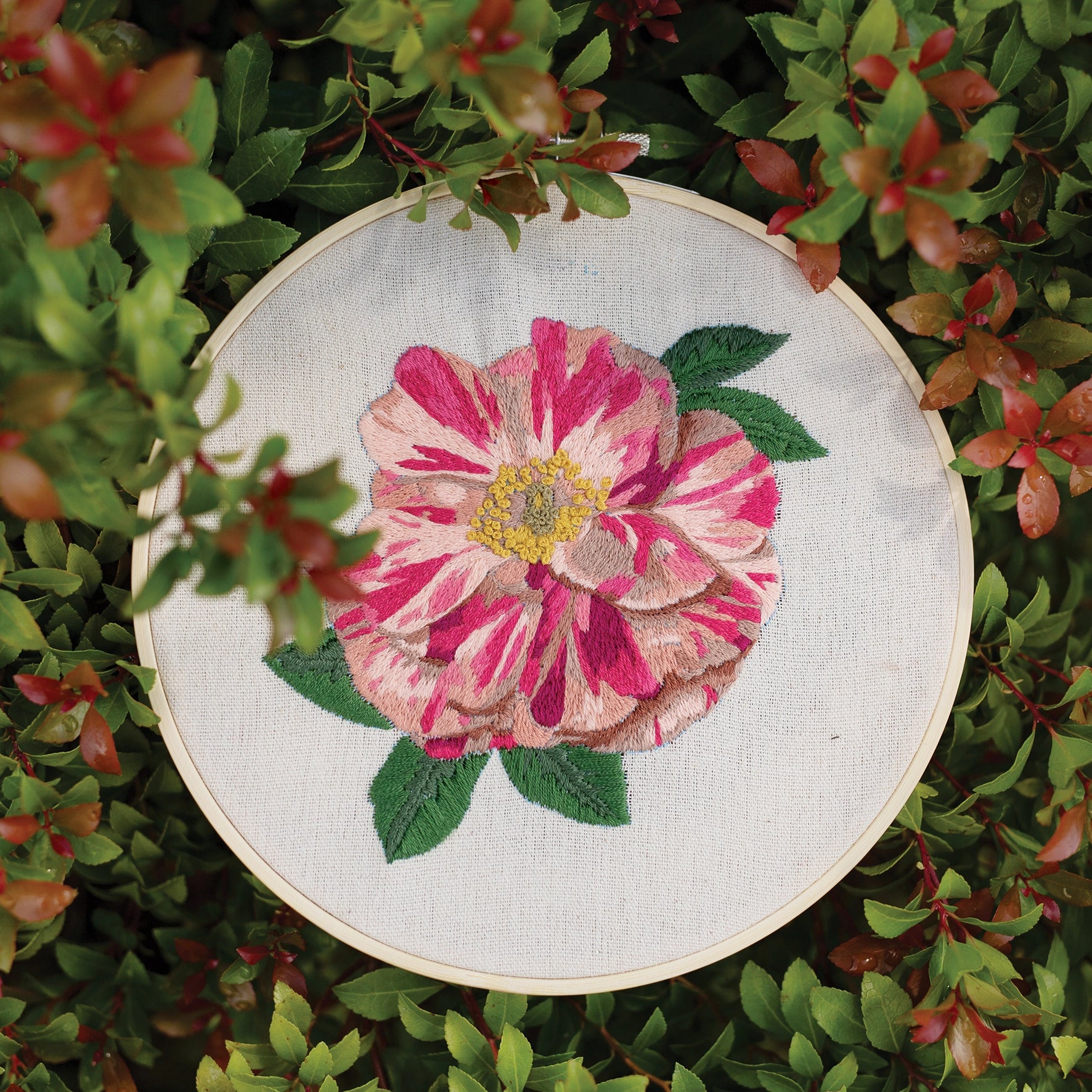 RHS Embroidery Kit : Plant Study