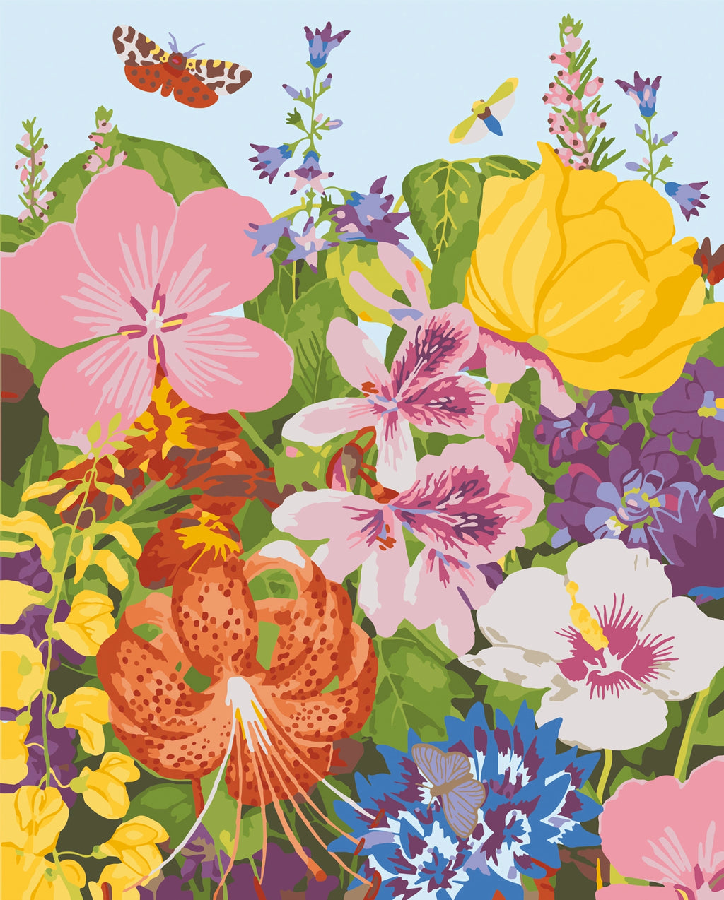 RHS Paint By Numbers Kit : Meadow