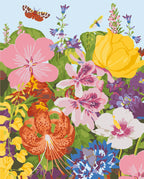 RHS Paint By Numbers Kit : Meadow