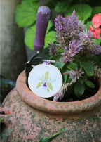 RHS Embroidery Hoop Kit x 4 : Orchids