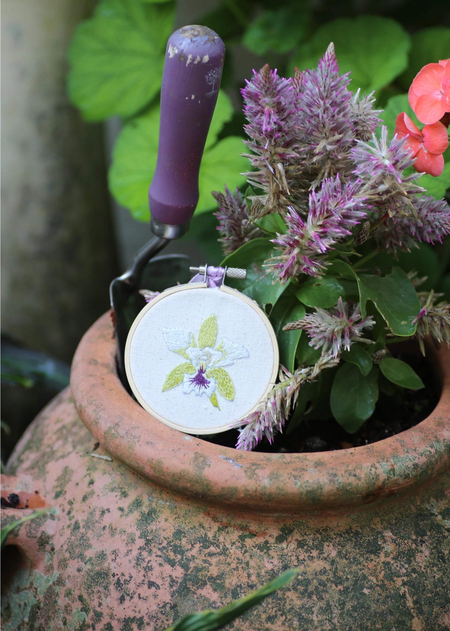RHS Embroidery Hoop Kit x 4 : Orchids