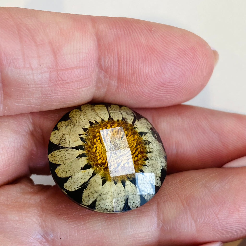 Daisy Button