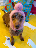 Mini Dog Pompom Hat Knitting Kit