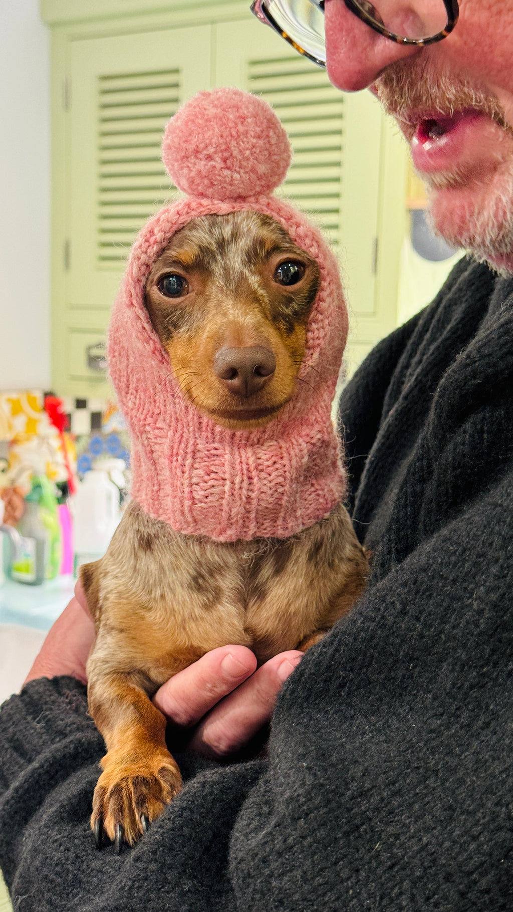 Mini Dog Pompom Hat Knitting Kit