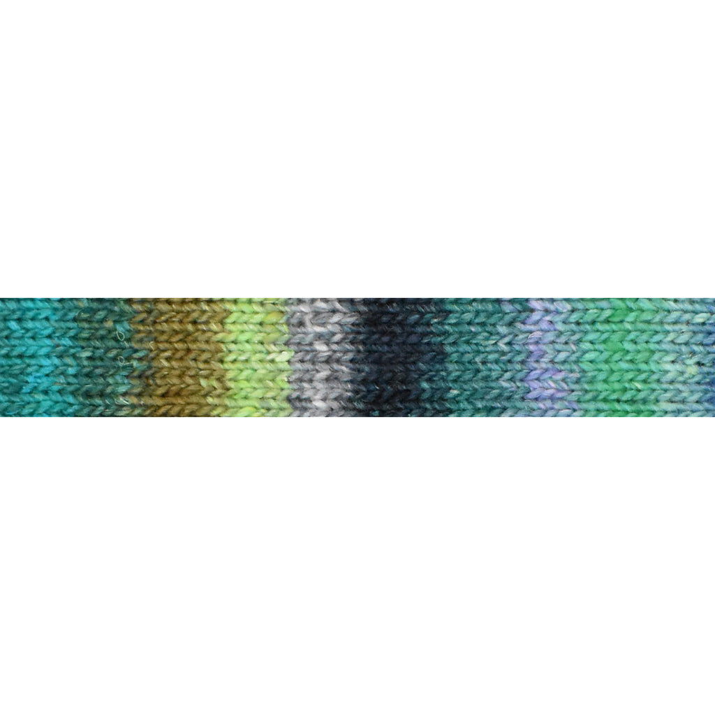 Noro Silk Garden Sock : 542 Shiroishi