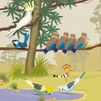 Stitch 50 Birds