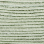 Ricorumi 25g Cotton : 041 Mint