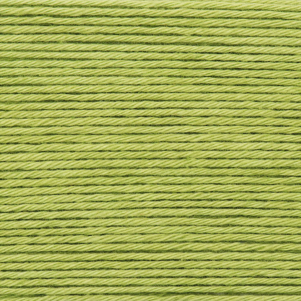 Ricorumi 25g Cotton : 047 Pistachio