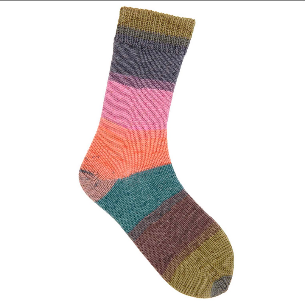 Sock Knitting Kit : Including Best Selling Sock Book