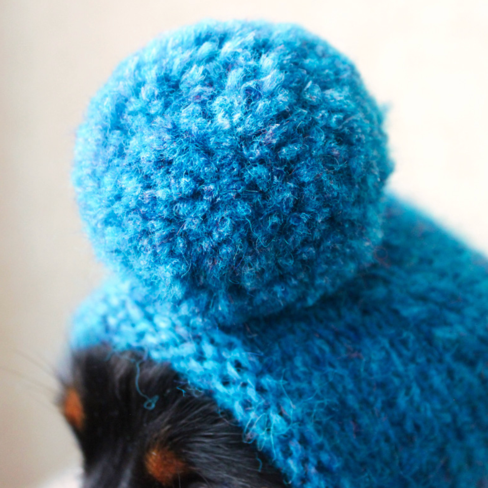 Mini Dog Pompom Hat Knitting Kit