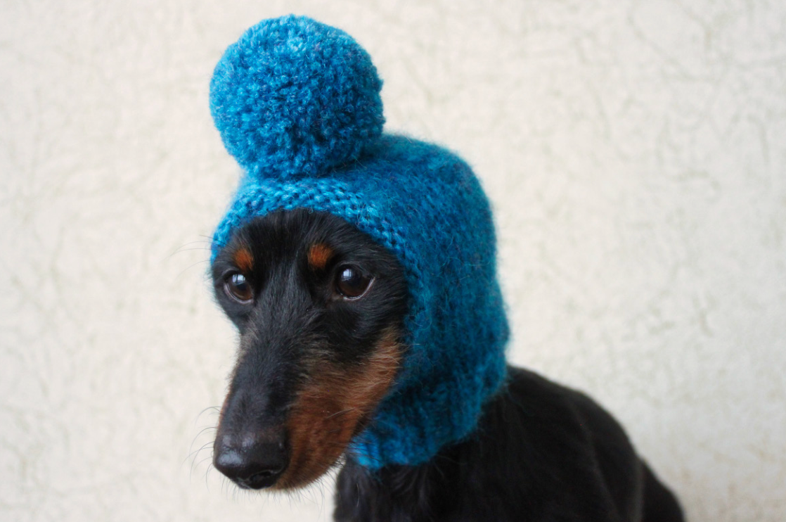 Mini Dog Pompom Hat Knitting Kit