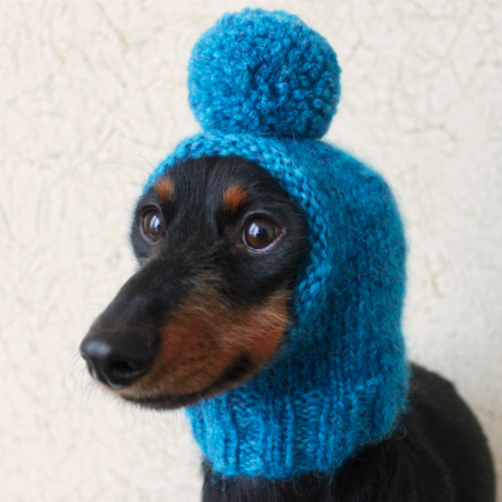 Mini Dog Pompom Hat Knitting Kit