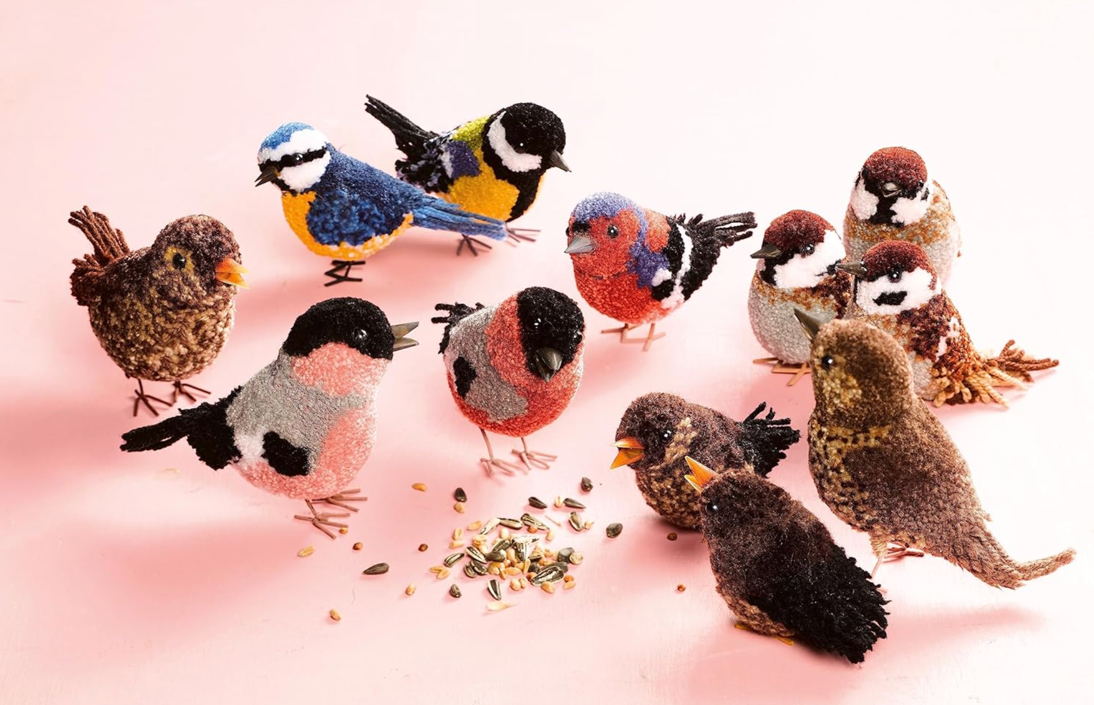Pom-Pom Birds : Craft an artisan yarn flock by Susanne Pypke