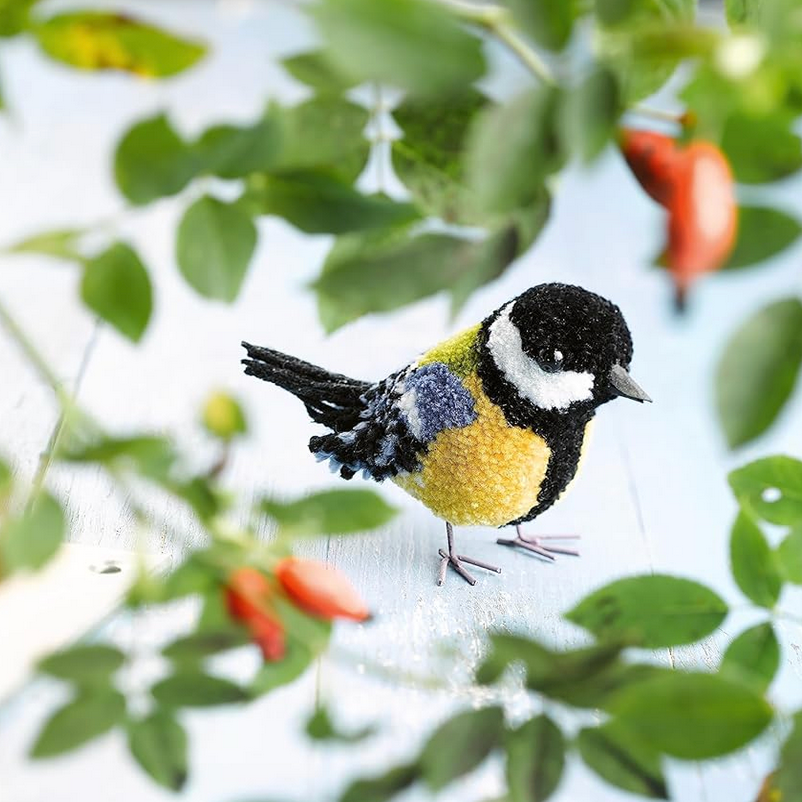 Pom-Pom Birds : Craft an artisan yarn flock by Susanne Pypke