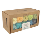 Scheepjes Stone Washed Colour Pack 10x25g - Grounding