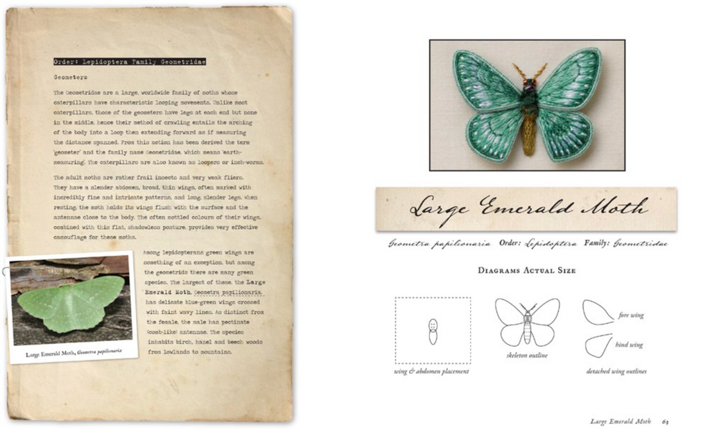 Stumpwork Butterflies by Jane Nicholas