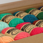 Scheepjes Softfun Colour Pack 12 x 20g Floral Fantasy