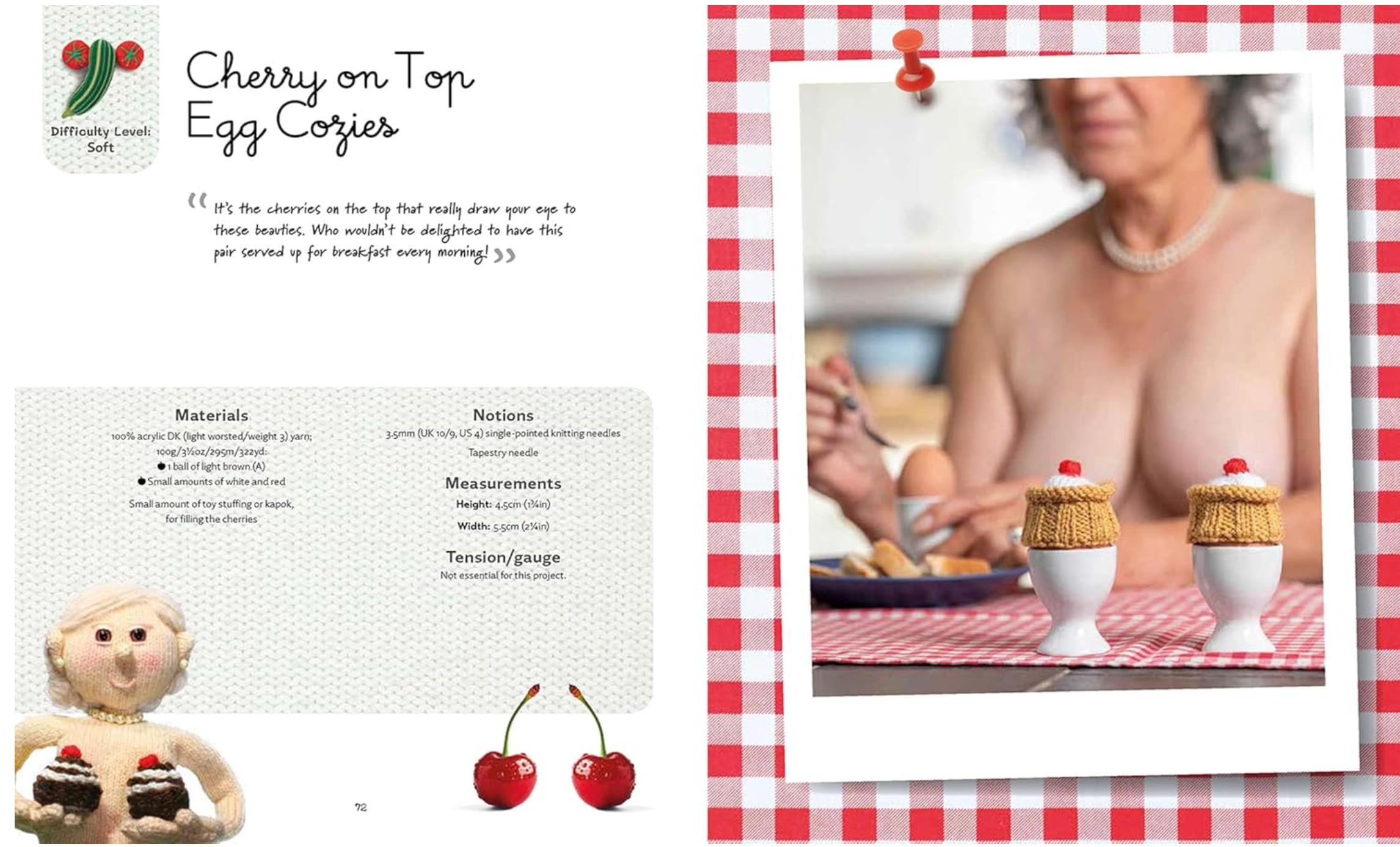 Nudinits at Home : 19 naughty patterns for home accessories