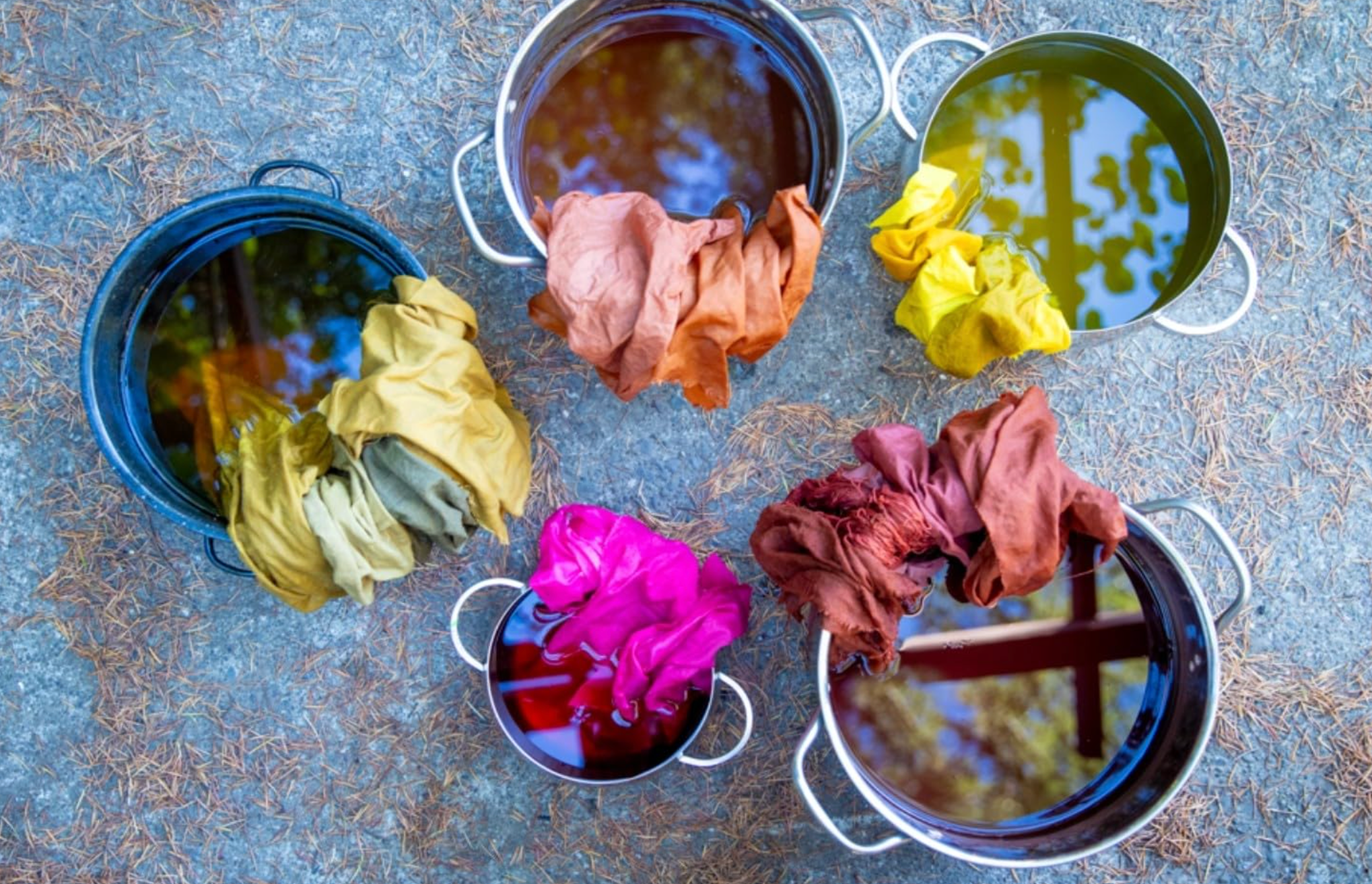 The Natural Dye Handbook