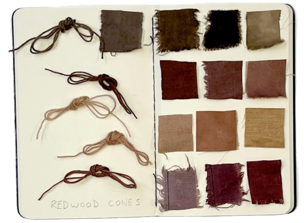 The Natural Dye Handbook