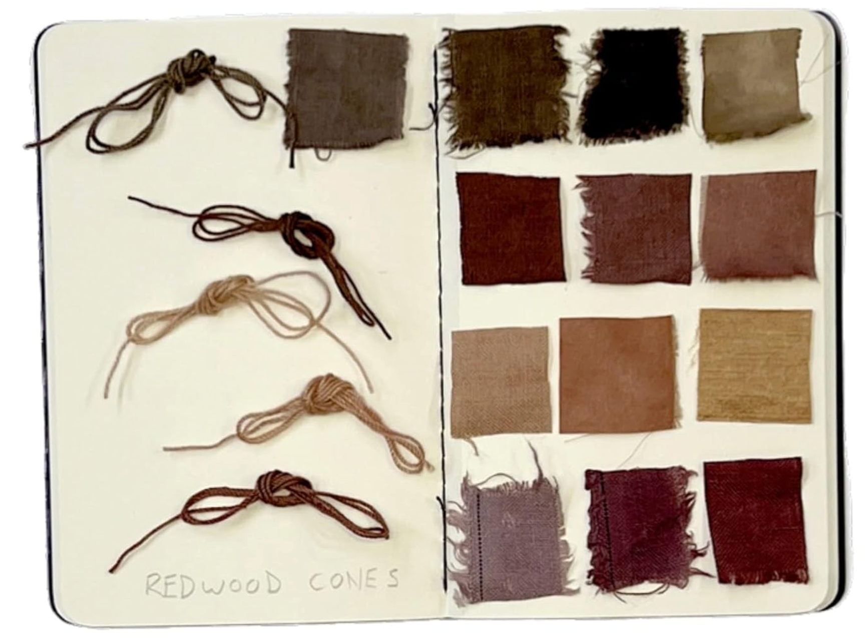 The Natural Dye Handbook