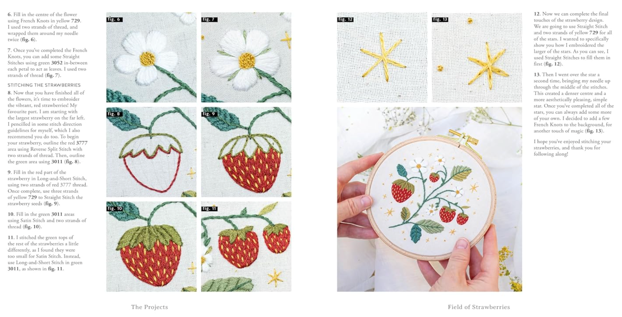 Paint with Thread : In the Garden by Emillie Ferris