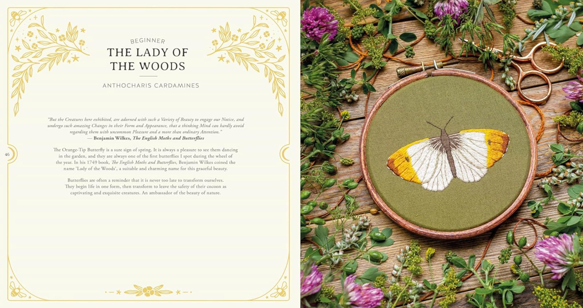 Paint with Thread : In the Garden by Emillie Ferris