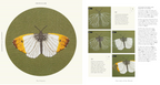 Paint with Thread : In the Garden by Emillie Ferris
