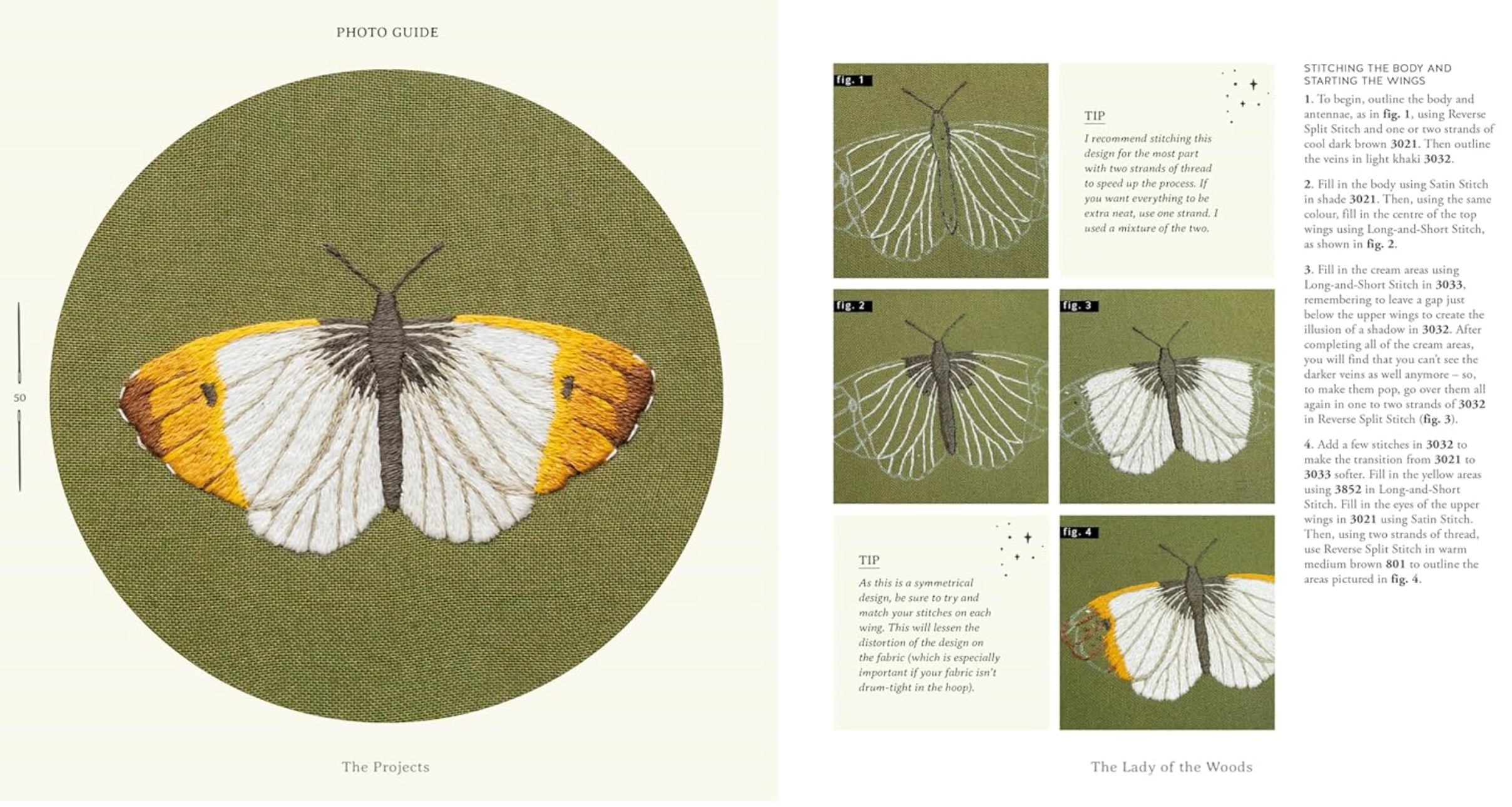 Paint with Thread : In the Garden by Emillie Ferris