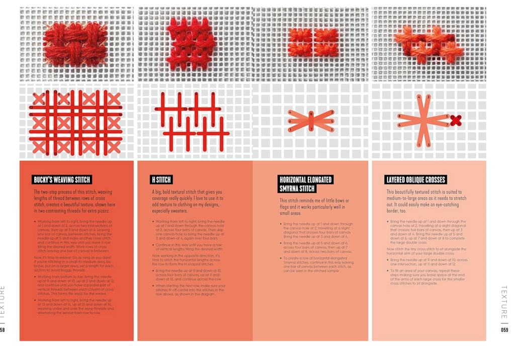 Next Level Needlepoint : Over 100 skill-building stitches & techniques by Emma Homent