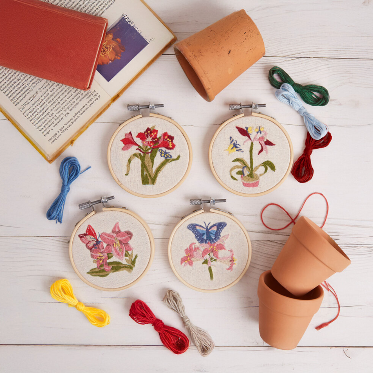 RHS Embroidery Kit : Butterfly & Flora
