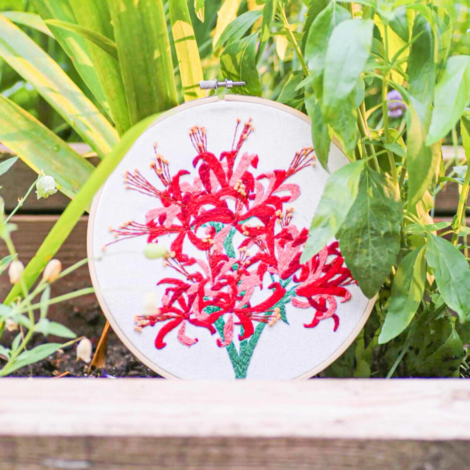 RHS Embroidery Kit : Guernsey Lily