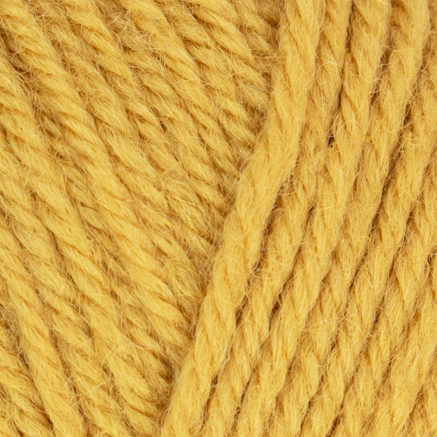WYS Morris DK : Marigold 1287