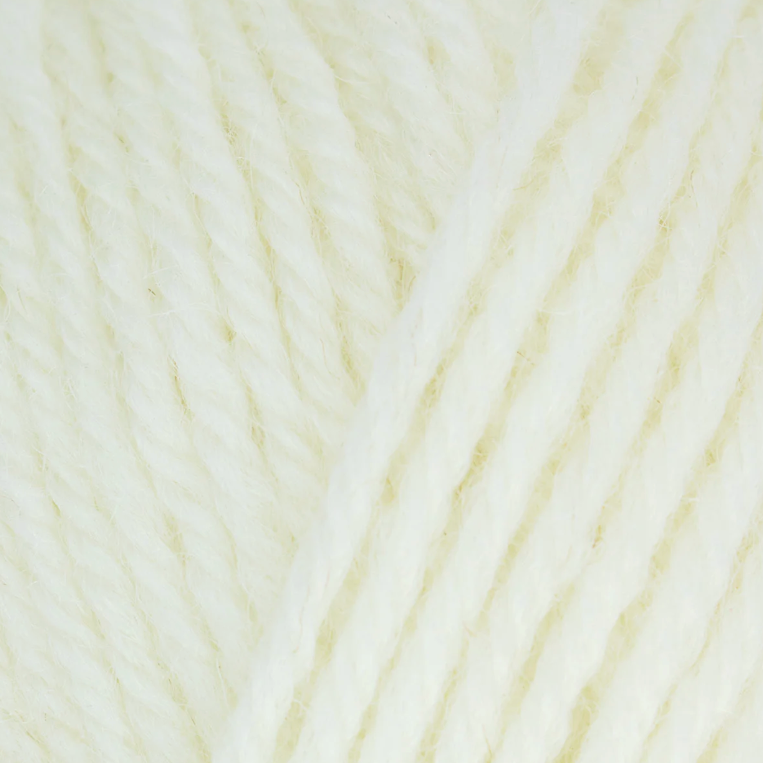 WYS Morris DK : Daisy 1275