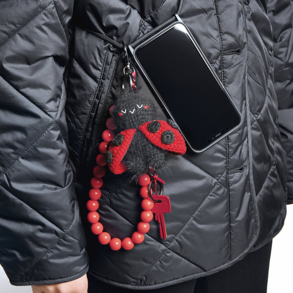 Ricorumi Chingus Book