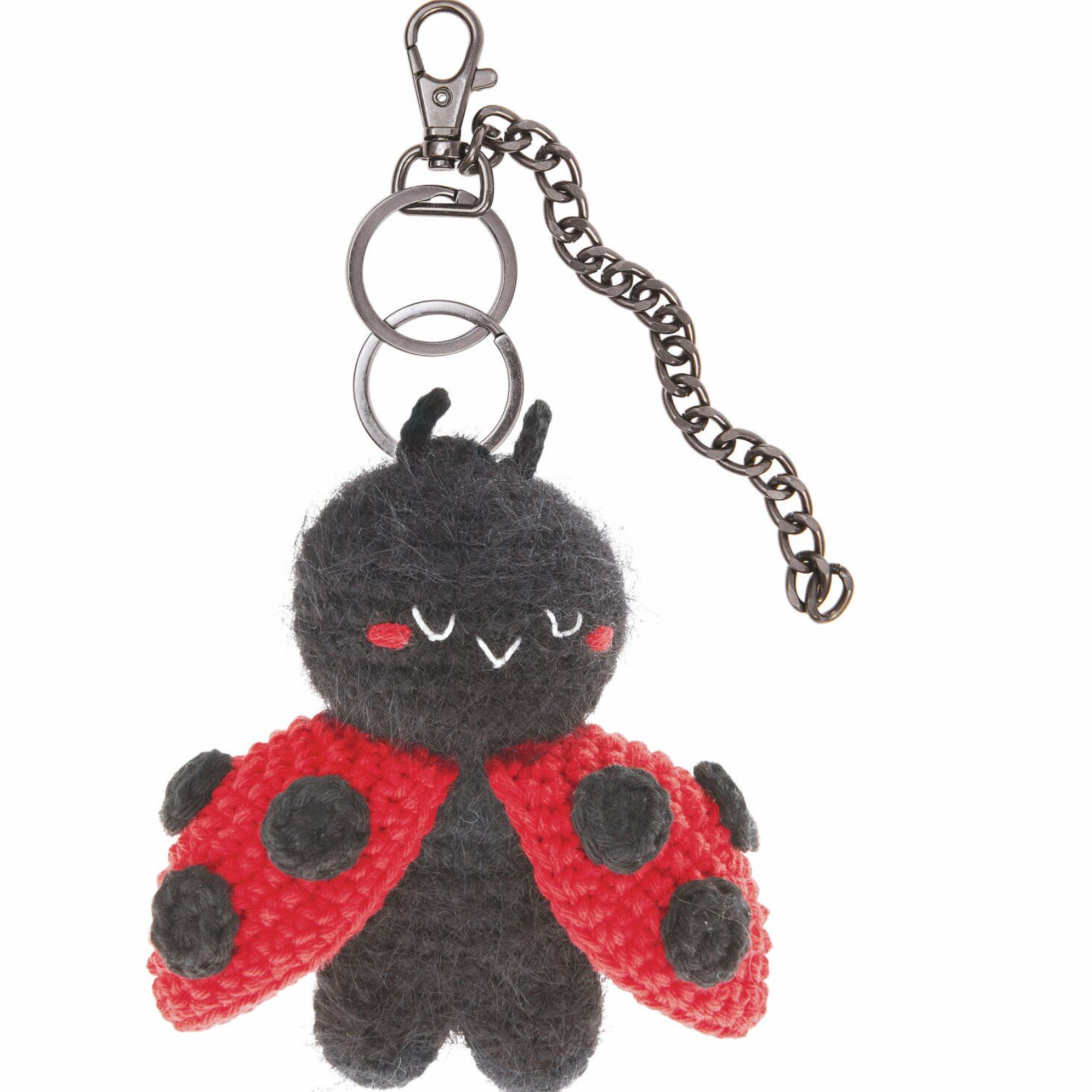 Ricorumi Chingus Book