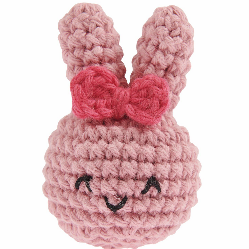 Ricorumi Chingus Book