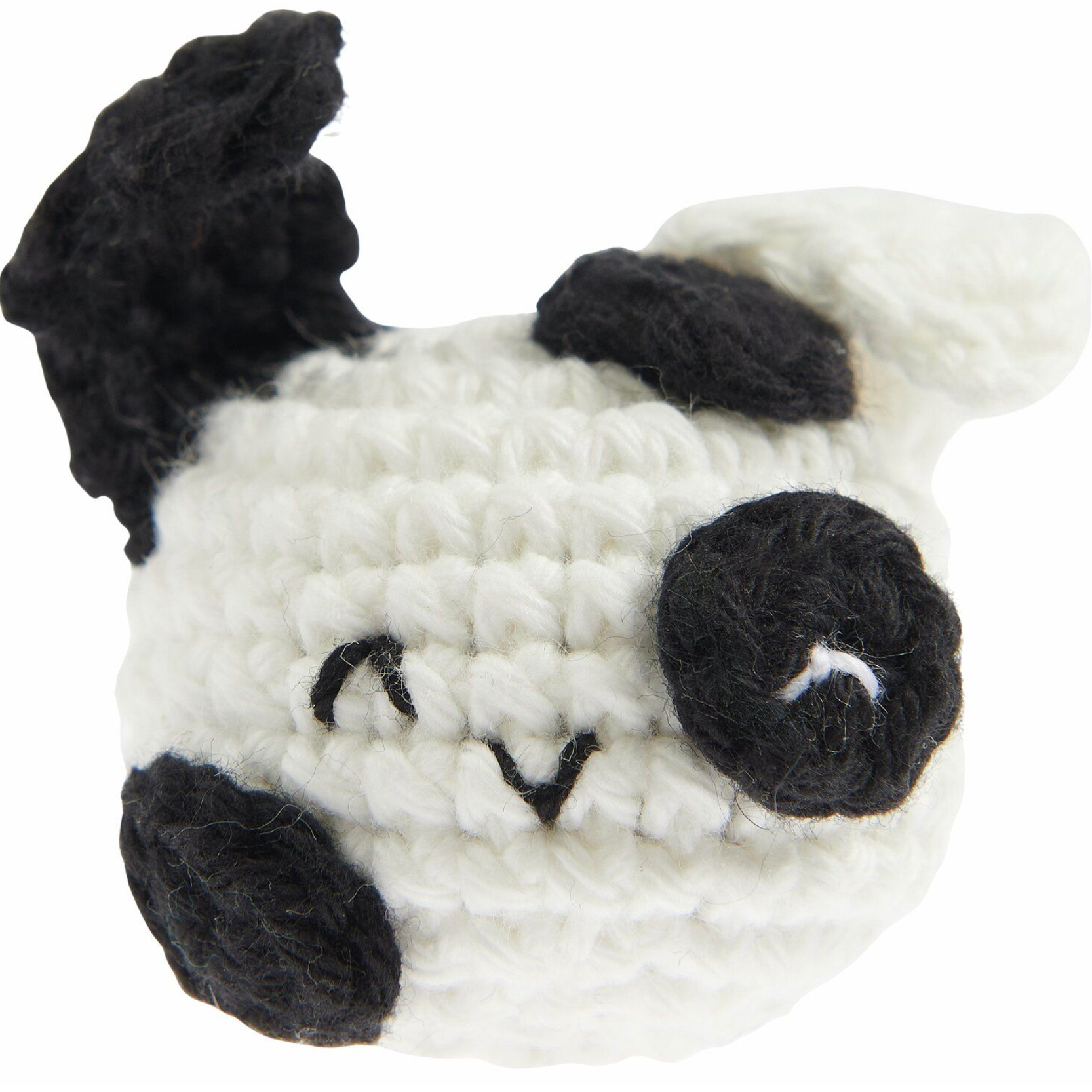 Ricorumi Chingus Book