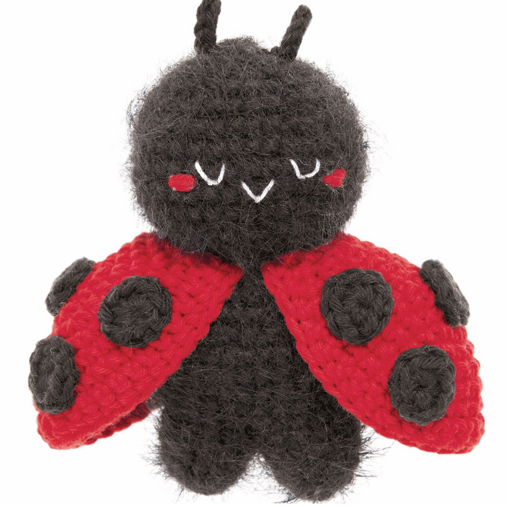 Ricorumi Chingus Book