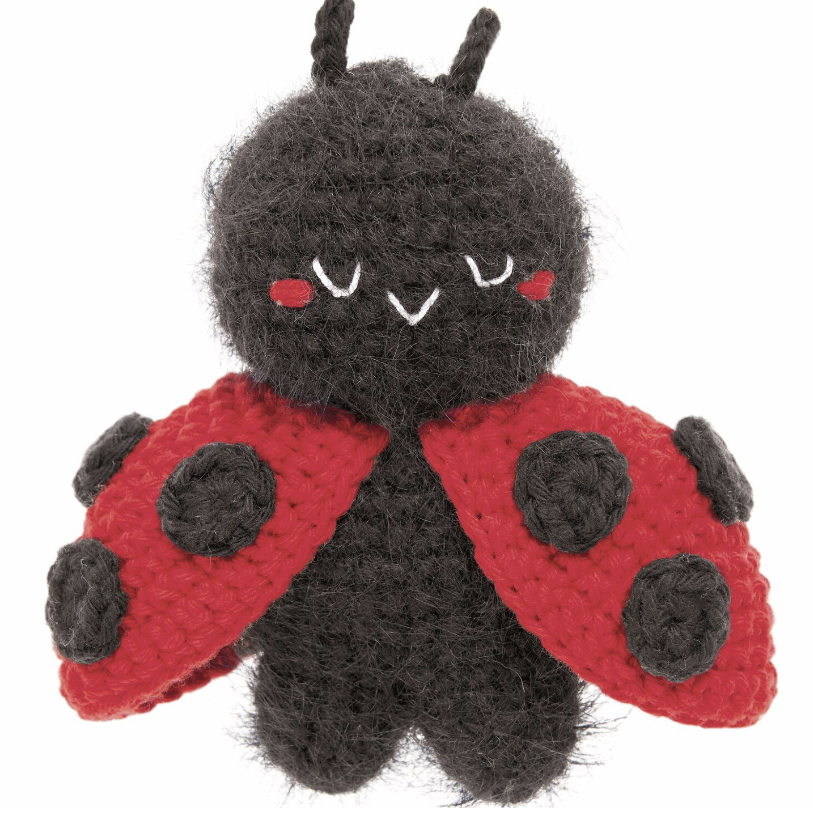 Ricorumi Chingus Book