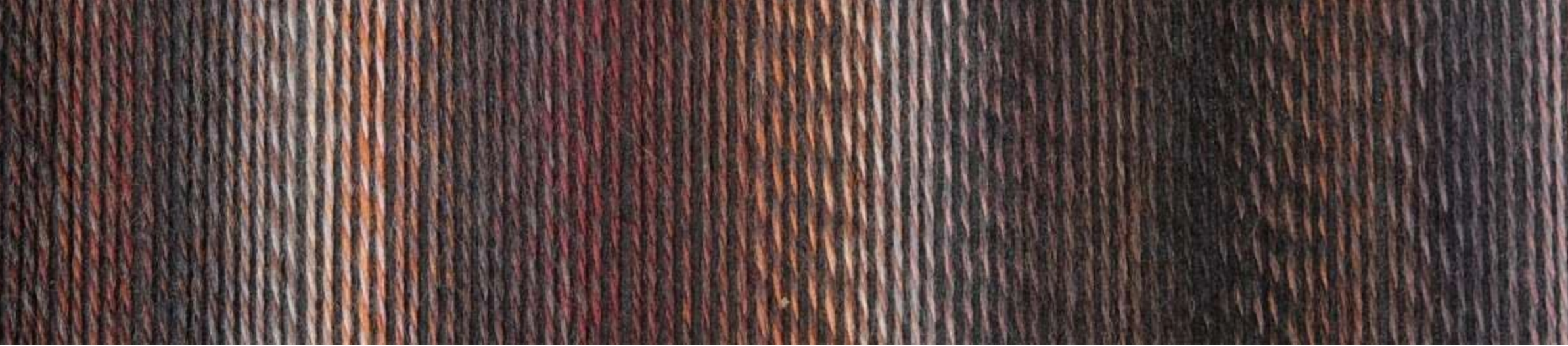 Zauberball Crazy 100g : Late Autumn - Inspiration Kieran Foley 2544