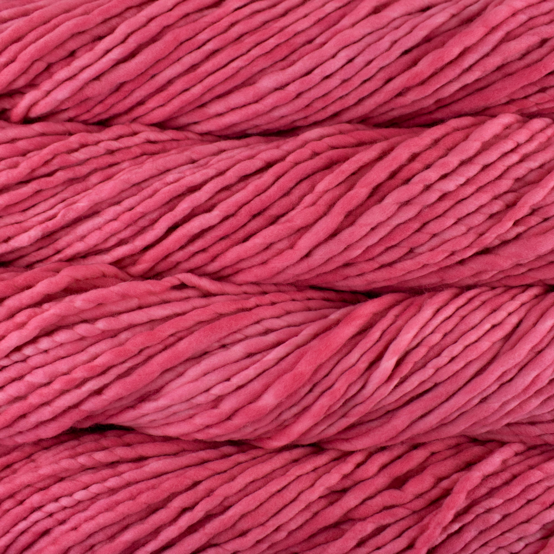 Malabrigo Rasta Super Bulky Yarn Cactus Flower