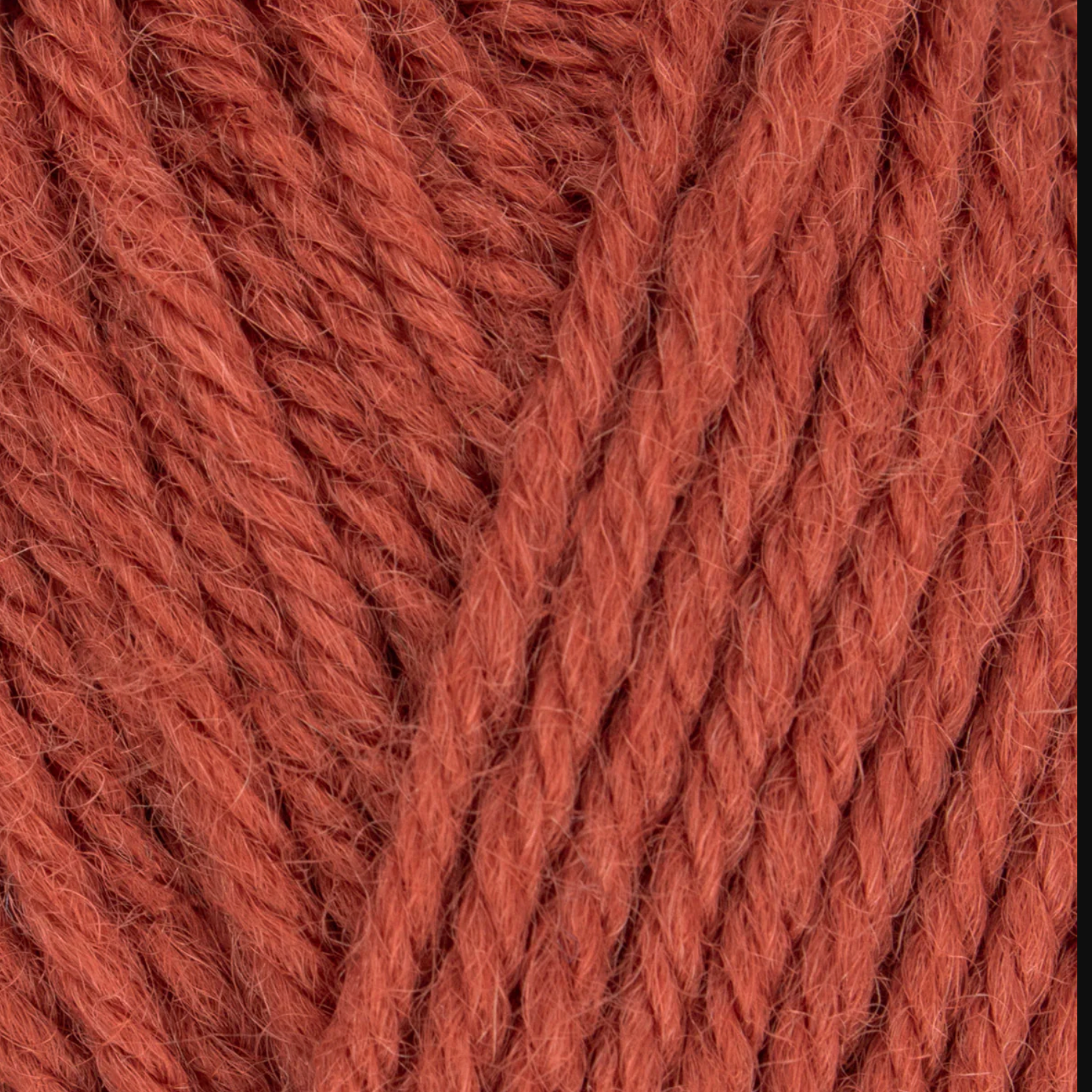 WYS Morris DK : Rhubarb 1291